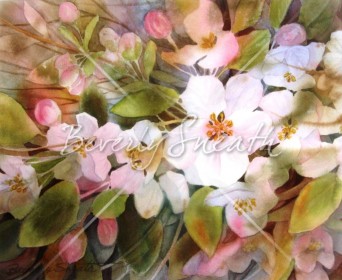 Apple Blossoms wc SOLD
