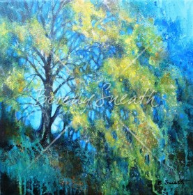 Weeping Willow (16) SOLD