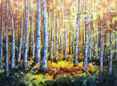 Birch Woods (4)