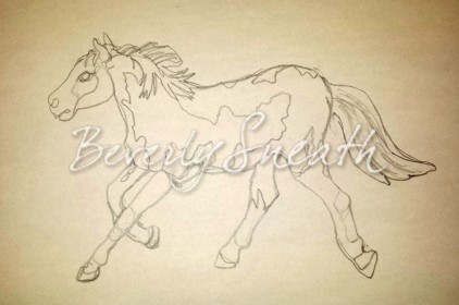 contour drawing of a horse