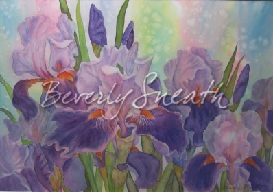 Purple Iris wc framed $600