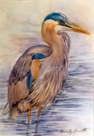 Heron (watercolour image 8 .75 X 12.25 outer 13.25 X1 7.75)
