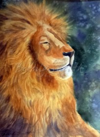 Lion wc 11 X 15.5 outer 16 X 20
