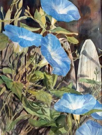 Morning Glory on Fence SOLD wc 12 X 15.5 outer 19.5 X 23.5