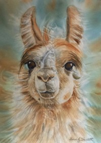 La La Llama - watercolour image  11.5 X 15.5 SOLD