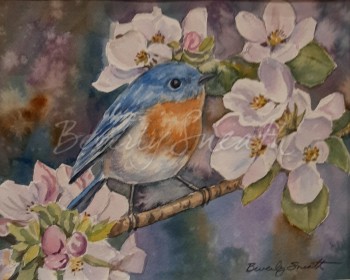 Bluebird in Apple Blossoms wc 8 X 9.75 $275 SOLD