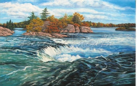 Burleigh Falls (Prints available at Gallery on the Lake)