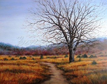 Decew Valley Acrylic SOLD