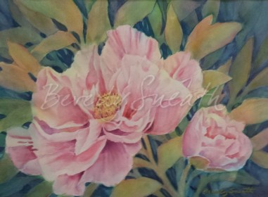 Pink Peony with Bud wc 11 X 15.5 in $400