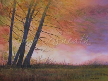 Morning Beeze Acrylic Beverly Sneath 30X40