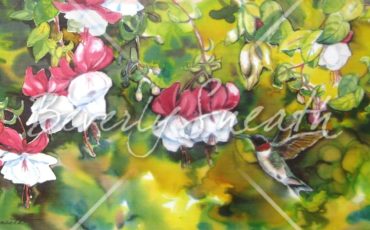 Limited Edition Prints