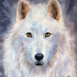 Arctic Wolf wc  image 13.75 X 15in