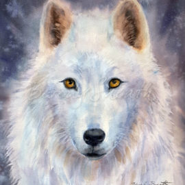 Arctic Wolf