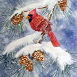 Cardinal in Pine