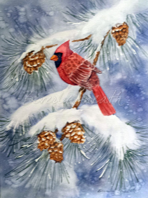 Cardinal in Pine