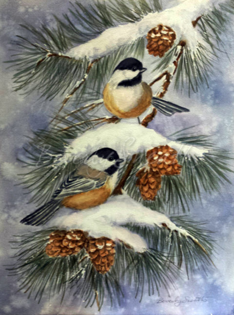 Chickadees on Pine Boughs