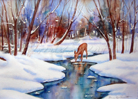 Deer at Stream in New Snow