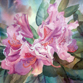 Morning Rhododendron