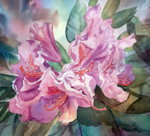 Morning Rhododendron