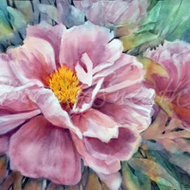 Peony