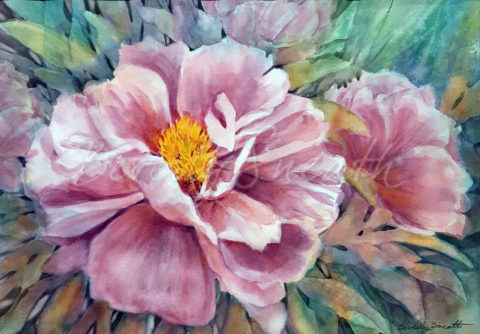Peony