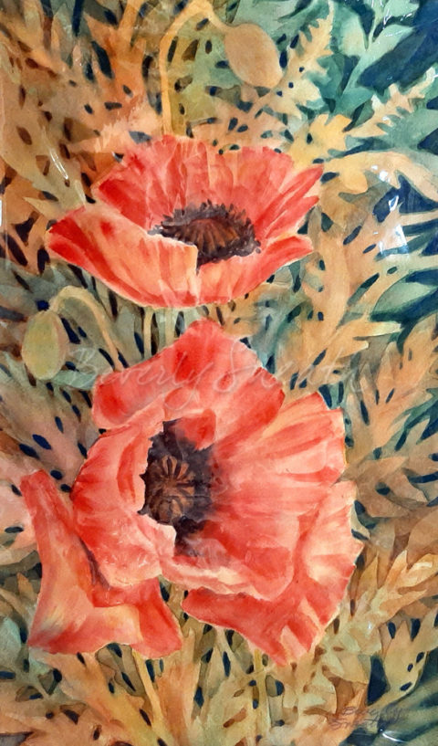 Poppies