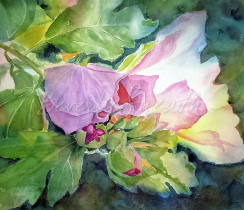 Rose of Sharon