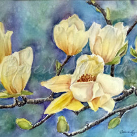 Yellow Magnolia