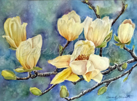 Yellow Magnolia