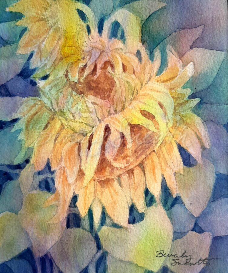 Watercolour painting of Sunflowers nodding. Negative painting style in yellows and blues.