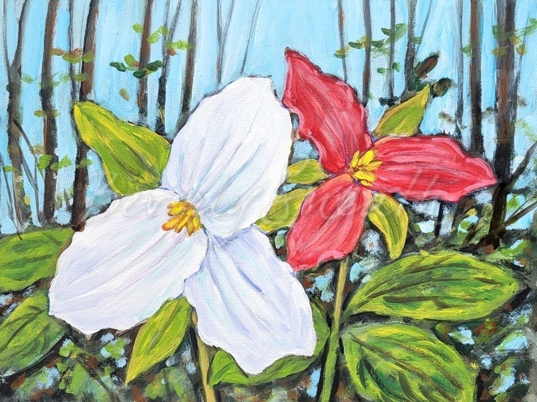 Trilliums white and red in woods acrylic painting paint night