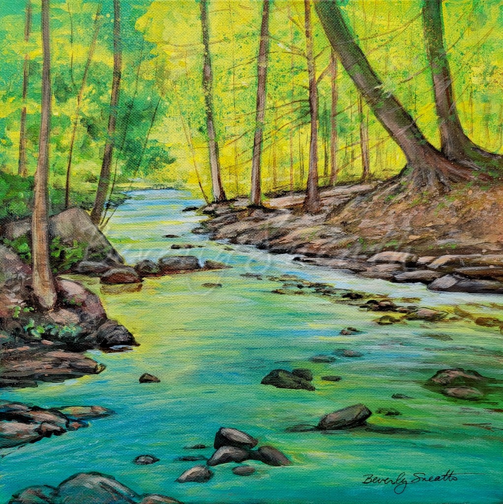 Sulphur Spring Effingham- blue, green , yellow - shallow stream -rocks-trees-water