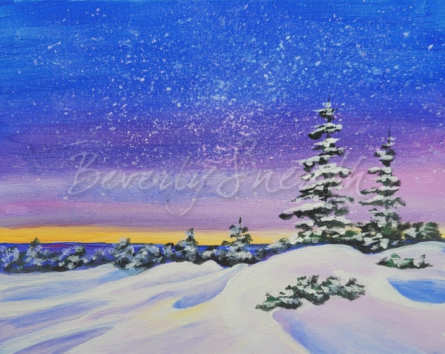 starry sky, snowdrifts, evergreen trees